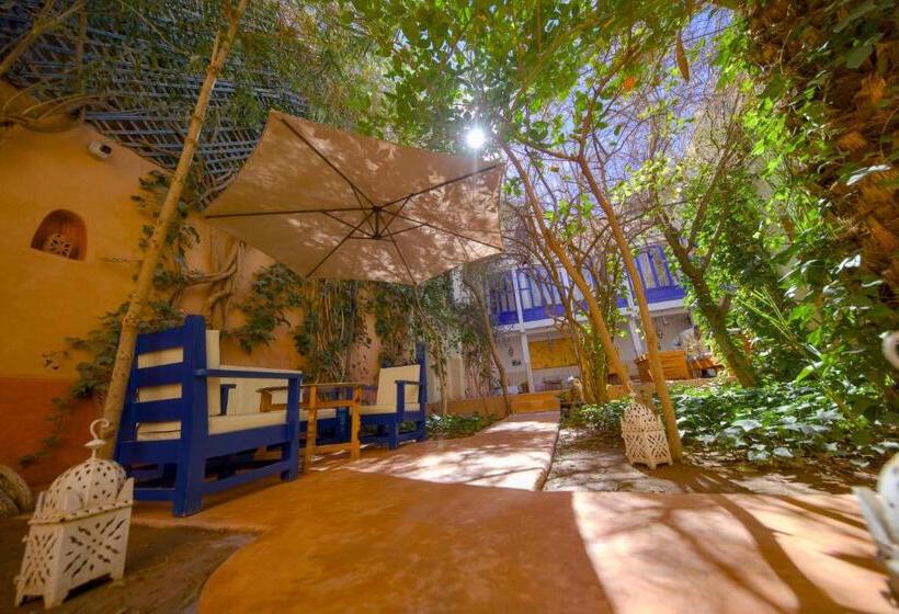 פנסיון Maison D Hôtes Dar Farhana