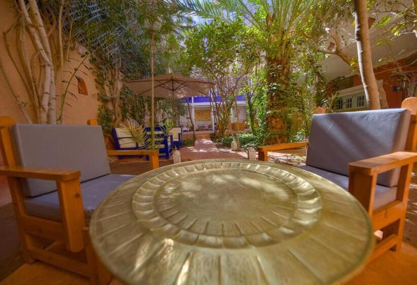 פנסיון Maison D Hôtes Dar Farhana