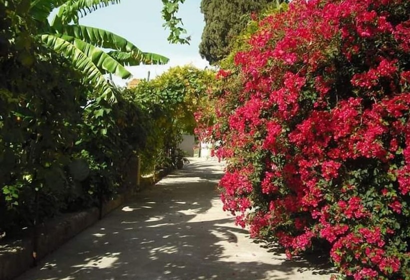 B&b Casa Museo Elio Romano