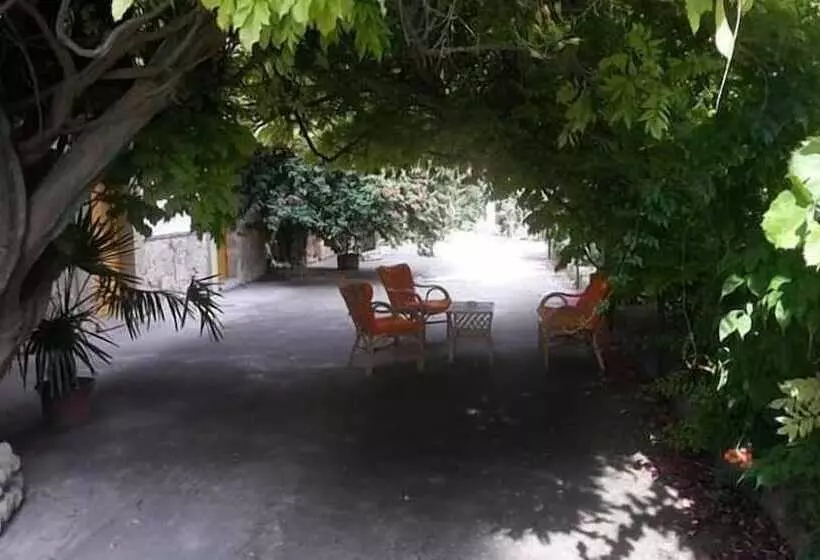 B&b Casa Museo Elio Romano