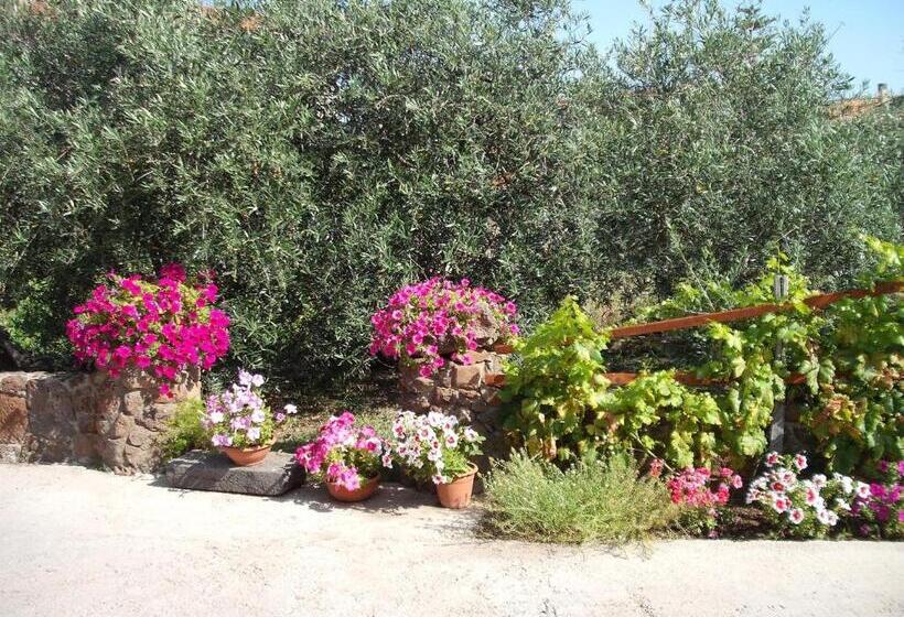 住宿加早餐  Domu De Palla