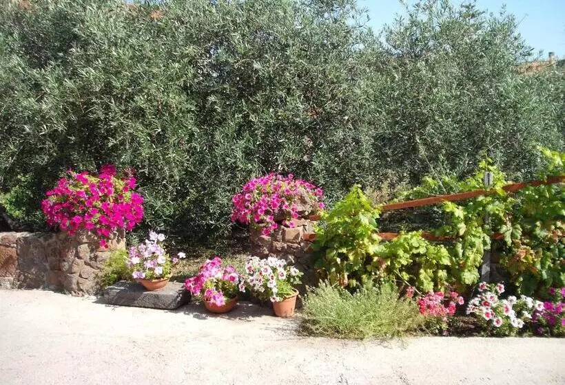 ベッドアンドブレックファースト Domu De Palla