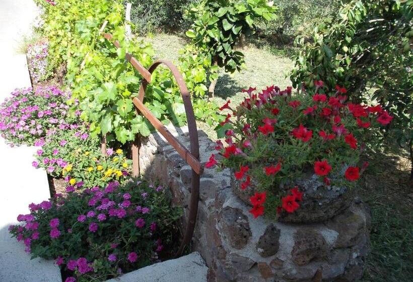 住宿加早餐  Domu De Palla