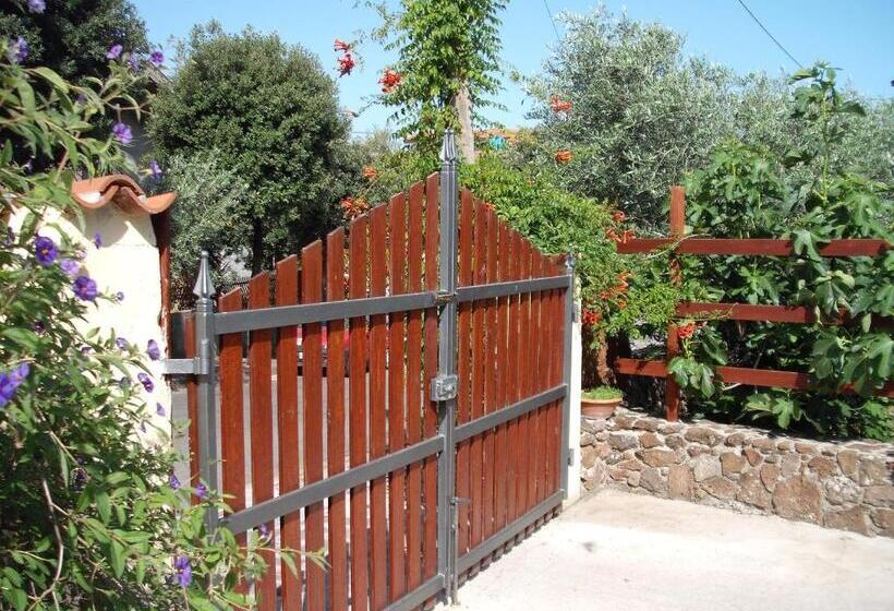 住宿加早餐  Domu De Palla