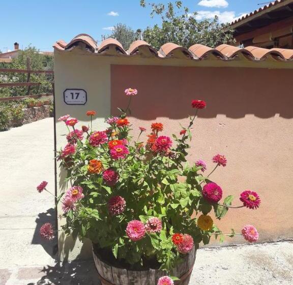 住宿加早餐  Domu De Palla