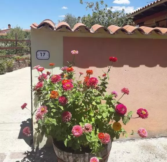 ベッドアンドブレックファースト Domu De Palla