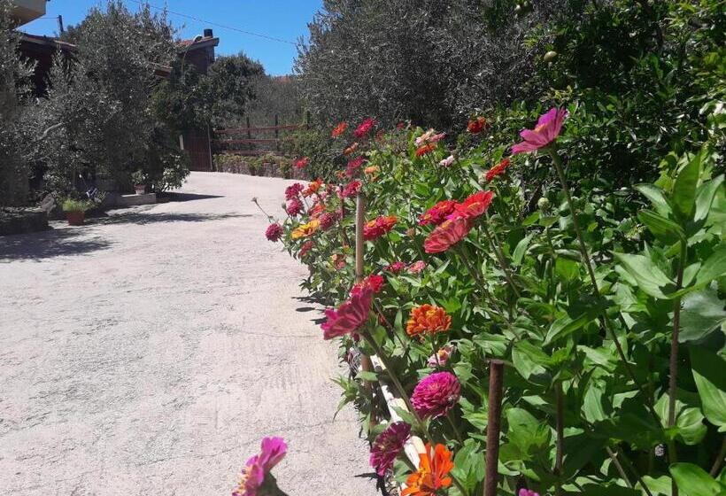 住宿加早餐  Domu De Palla