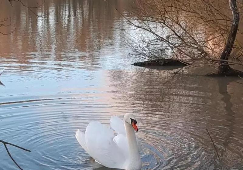 Aamiaismajoitus (B&B) L'atterrissage