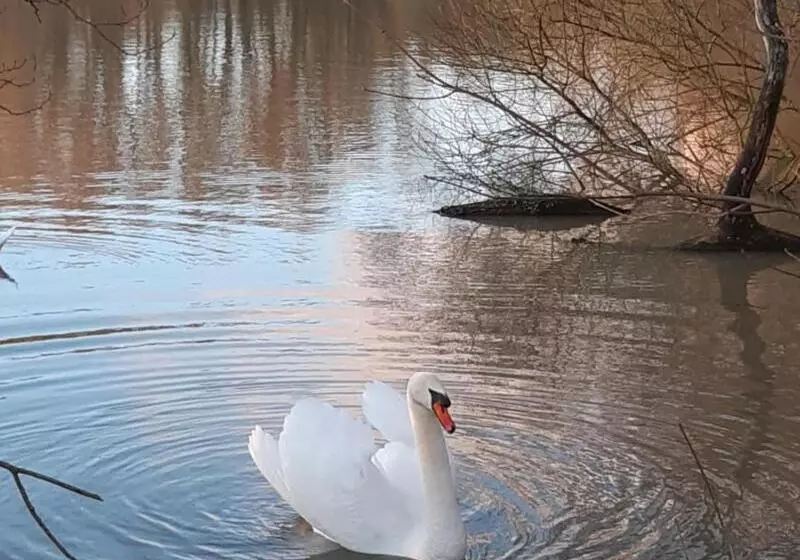 Aamiaismajoitus (B&B) L'atterrissage