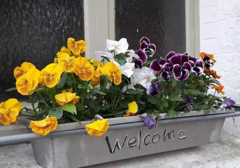 Aamiaismajoitus (B&B) L'atterrissage