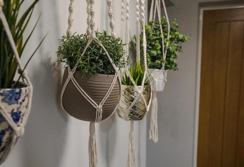 فندق فئة نجمة واحدة The Wheatsheaf Pub, Kitchen & Rooms