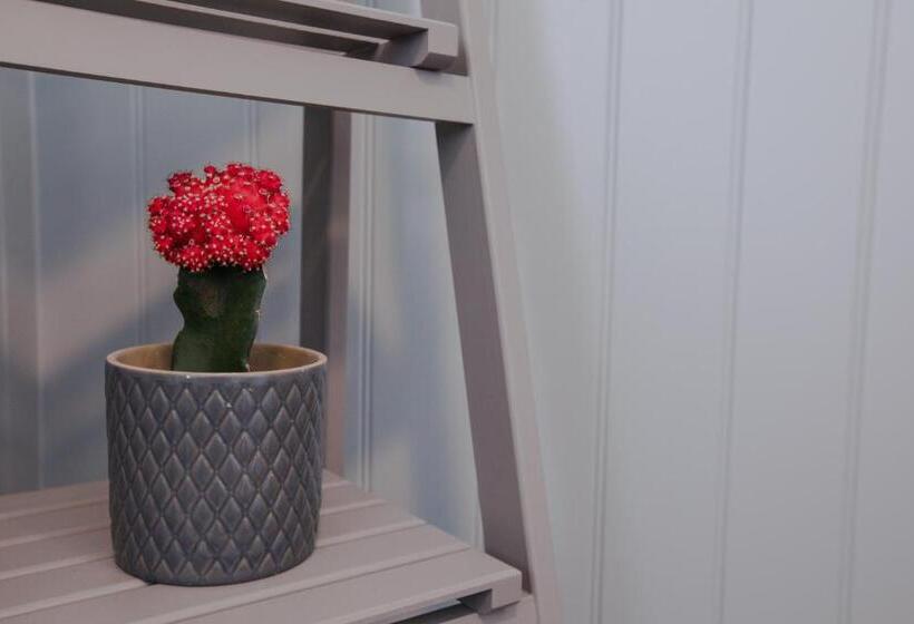 فندق فئة نجمة واحدة The Wheatsheaf Pub, Kitchen & Rooms