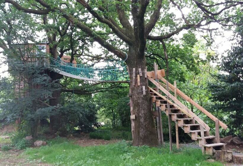 בית מלון כפרי Cabane Dans Les Arbres   Le Nid Dans Le Chêne