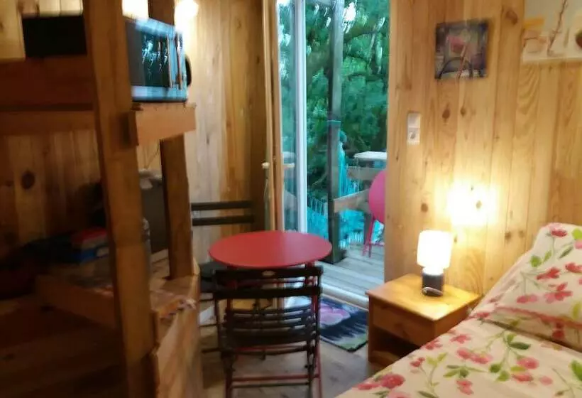 Hotel Cabane Dans Les Arbres   Le Nid Dans Le Chêne
