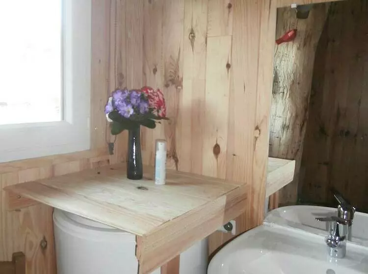 Hotel Cabane Dans Les Arbres   Le Nid Dans Le Chêne