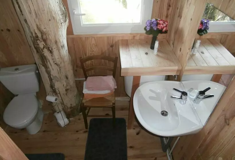 Hotel Cabane Dans Les Arbres   Le Nid Dans Le Chêne