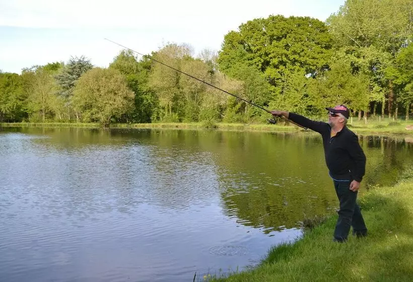 Hotel Cabane Dans Les Arbres   Le Nid Dans Le Chêne