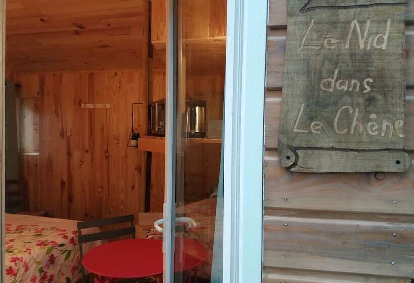 בית מלון כפרי Cabane Dans Les Arbres   Le Nid Dans Le Chêne