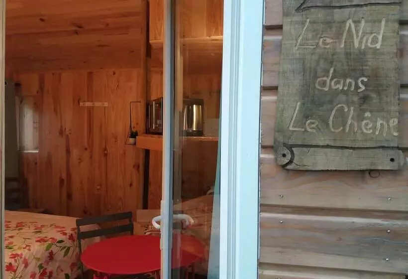 Hotel Cabane Dans Les Arbres   Le Nid Dans Le Chêne