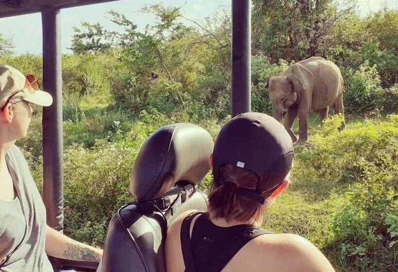 Hotel Elephant Lodge