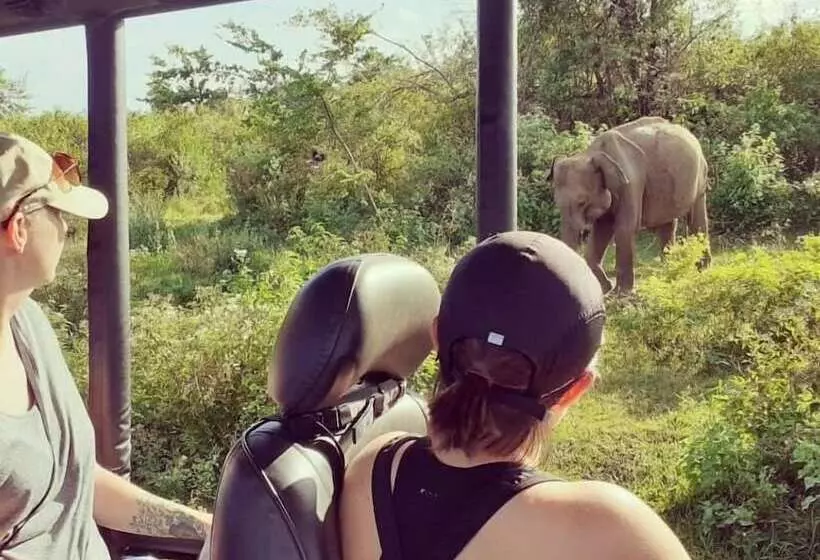 Hotelli Elephant Lodge