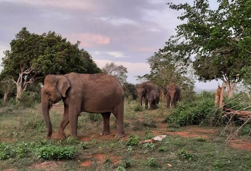 Hotel Elephant Lodge