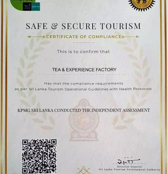 Hotelli Tea And Experience Factory  Thema Collection