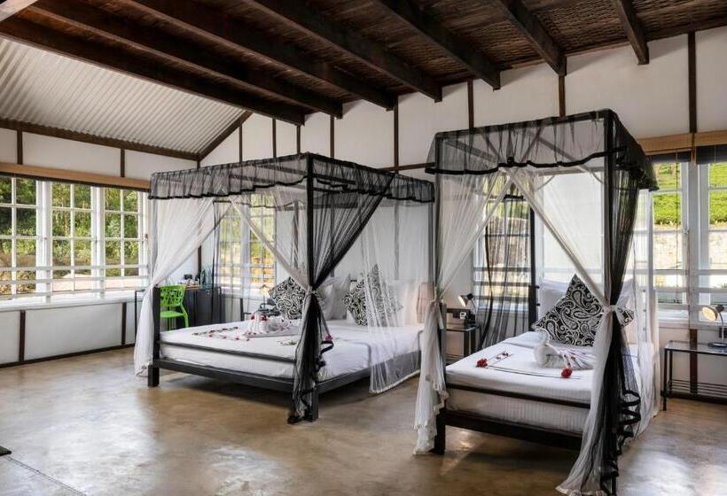 Hotel Tea And Experience Factory  Thema Collection