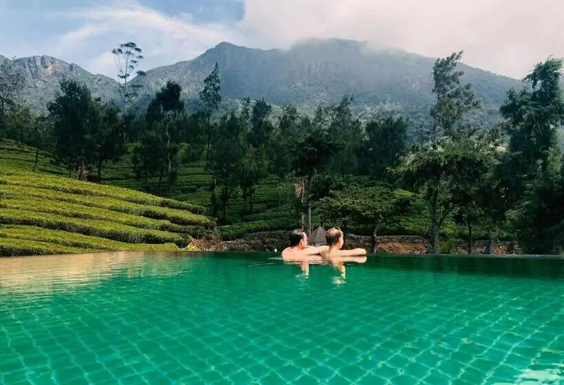 Hotelli Tea And Experience Factory  Thema Collection