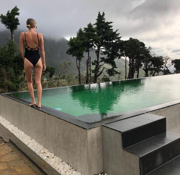 Hotel Tea And Experience Factory  Thema Collection