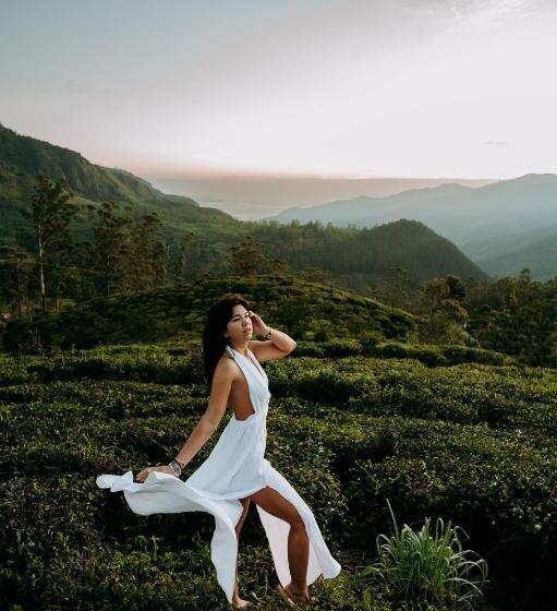 Hotel Tea And Experience Factory  Thema Collection