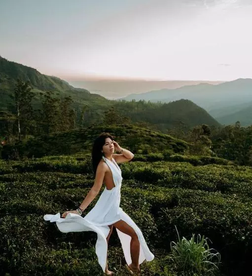 Hotelli Tea And Experience Factory  Thema Collection