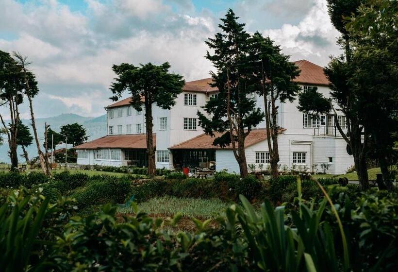 Hotel Tea And Experience Factory  Thema Collection