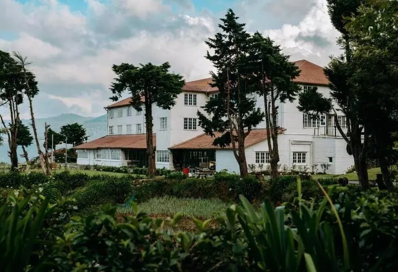 Hotelli Tea And Experience Factory  Thema Collection