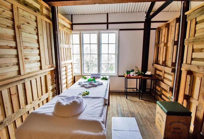 Hotel Tea And Experience Factory  Thema Collection