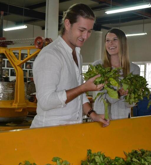 Hotel Tea And Experience Factory  Thema Collection