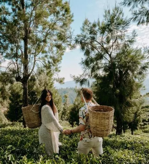 Hotelli Tea And Experience Factory  Thema Collection