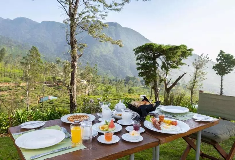 Hotelli Tea And Experience Factory  Thema Collection