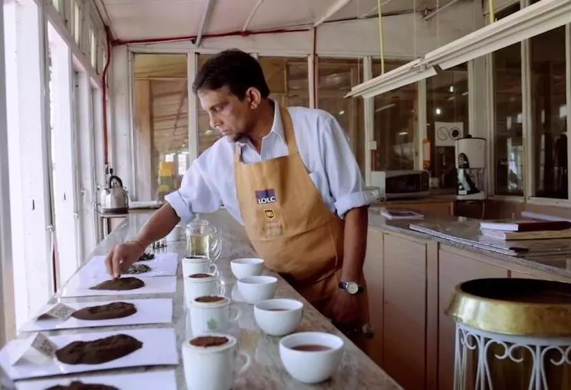 Hotelli Tea And Experience Factory  Thema Collection