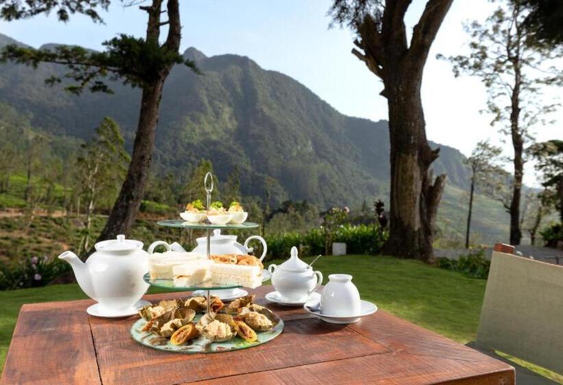 Hotel Tea And Experience Factory  Thema Collection