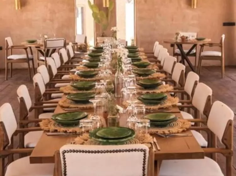 Hotelli The White Camel Lodge