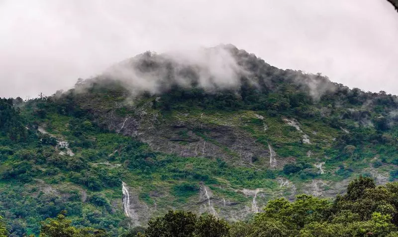 Hotelli Treebo Premium Misty Garden Resorts