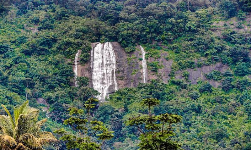 Hotel Treebo Premium Misty Garden Resorts