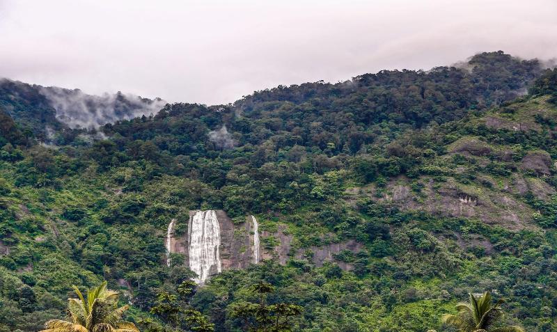 Hotel Treebo Premium Misty Garden Resorts