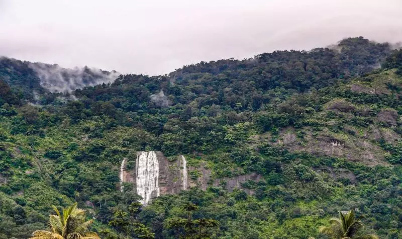 Hotelli Treebo Premium Misty Garden Resorts