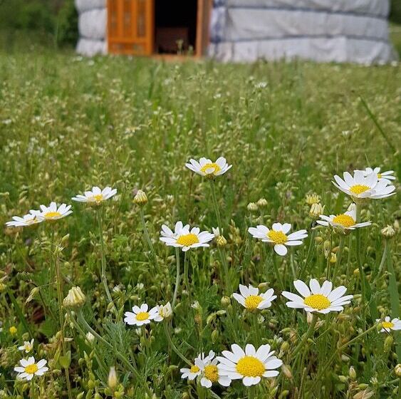 酒店 Verdon Yourtes Camping à La Ferme