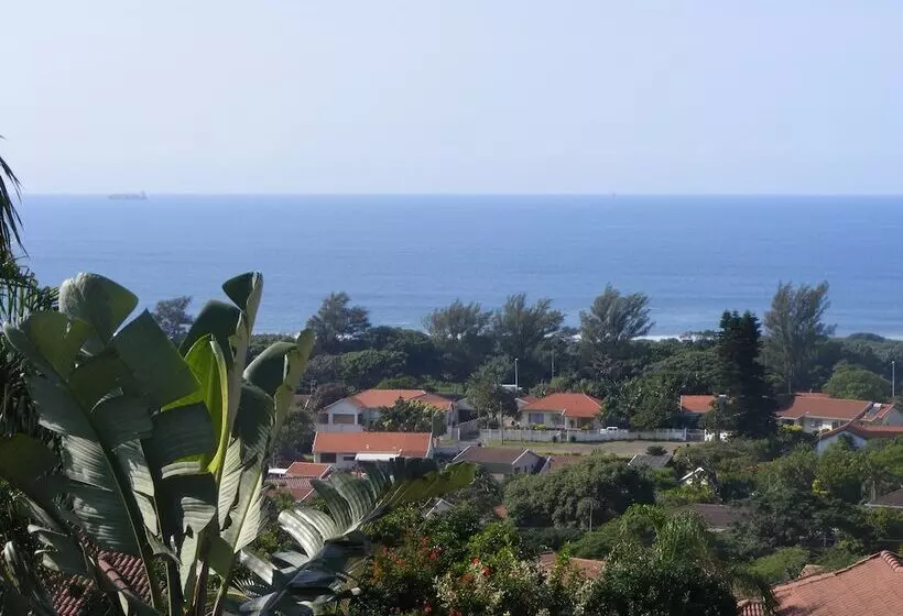 Joan S Bed And Breakfast