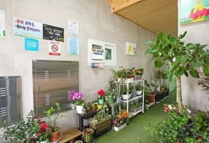 Majatalo Odae Mountain Healing Townsilver Light