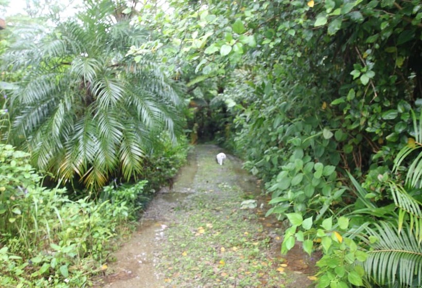 بنسيون Yanbaru No Mori  Seven Hotels And Resorts