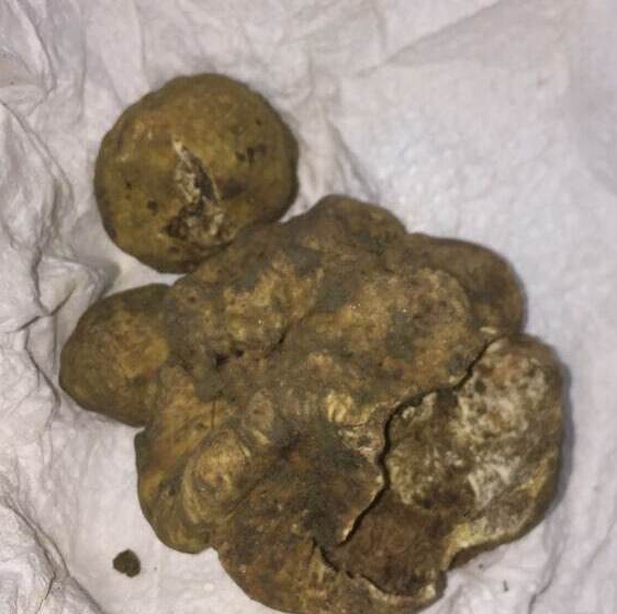 B&b Casale Il Poggio